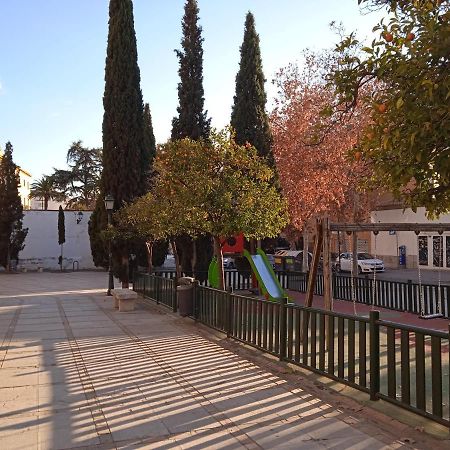 Lovely Apartment In The Centre Wifi Granada Exterior photo