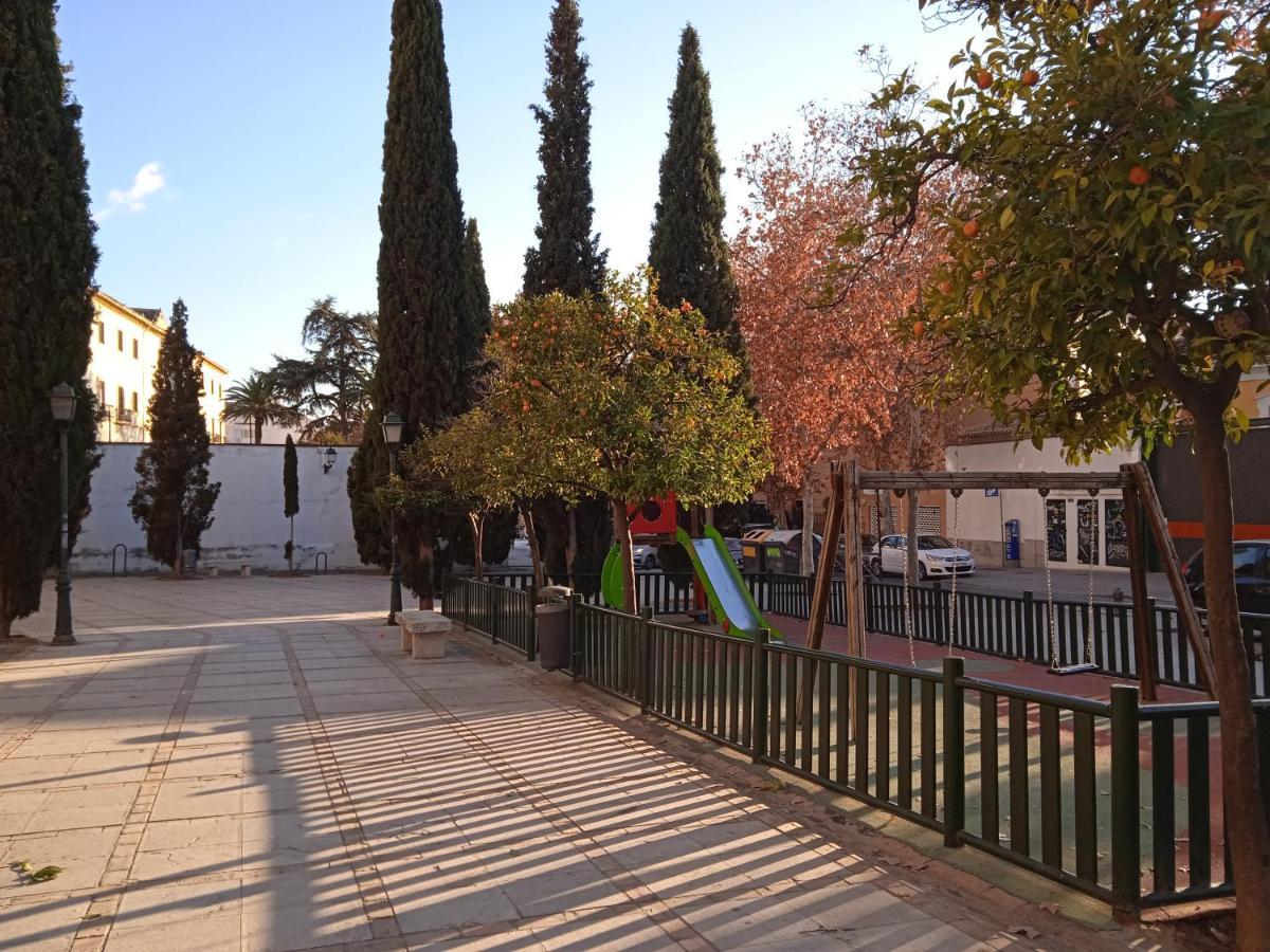 Lovely Apartment In The Centre Wifi Granada Exterior photo